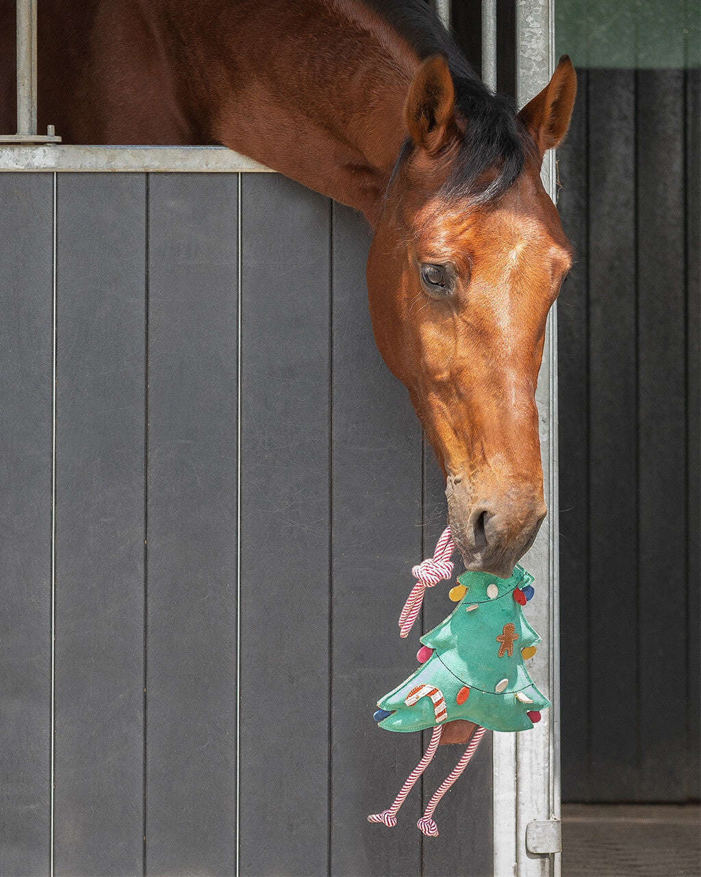 Christmas Horse Toy