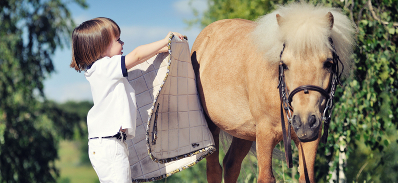 Saddle Essentials