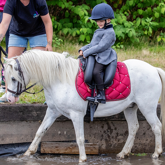 SYNTEETTINEN Inky Dinky Saddle® - Virallinen